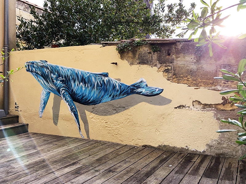 Baleine peinte sur un mur par l'artiste A-MO streetart.