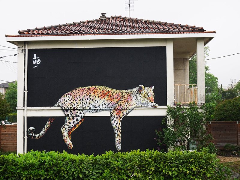 Peinture d'un léopard réalisée par l'artiste A-MO streetart