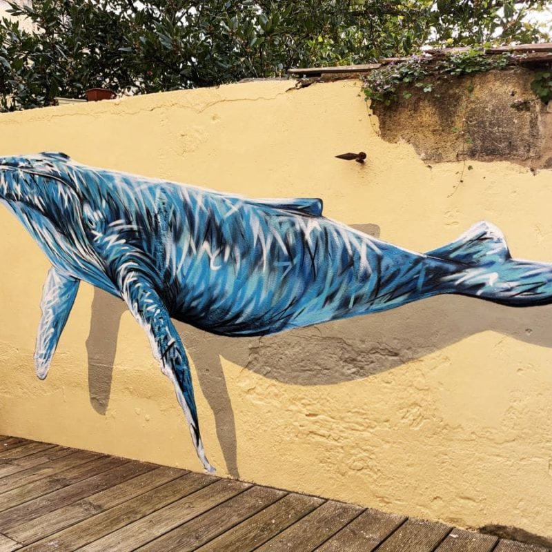 Baleine Peinte Sur Un Mur Par L'artiste A-MO Streetart.
