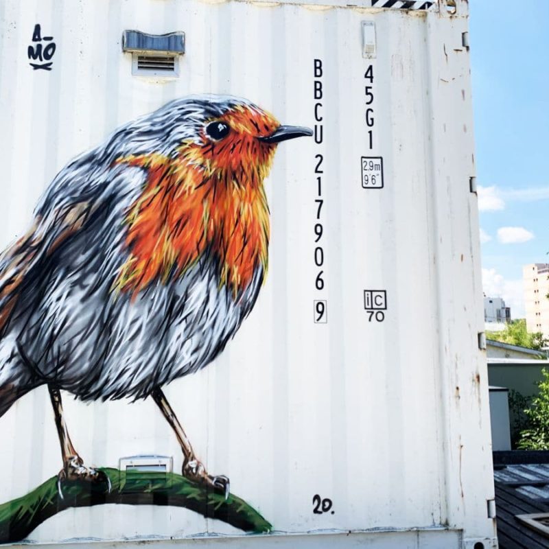 Rouge Gorge Peint Sur Un Container Par L'artiste A-MO Streetart