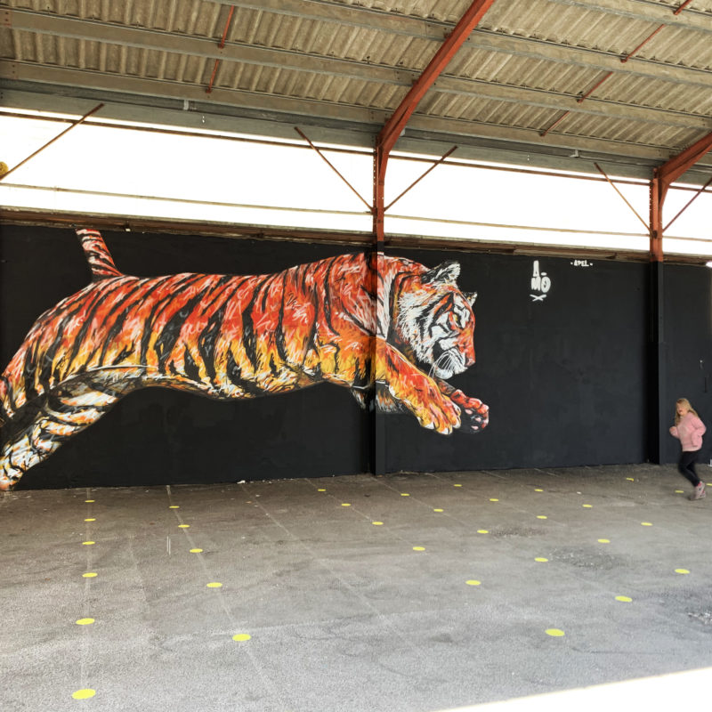Tigre Peint Sur Un Mur Par L'artiste A-MO Streetart Dans Une école