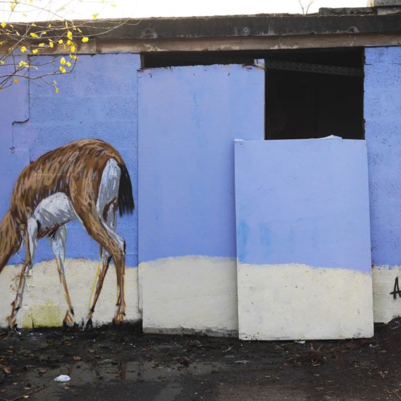 Gazelle Peinte Par A-mo Streetart Sur Un Mur