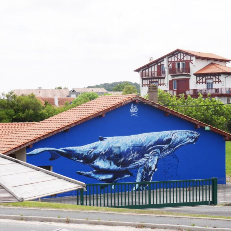 Peinture Murale De Baleines Réalisée Par L'artiste A-MO Streetart