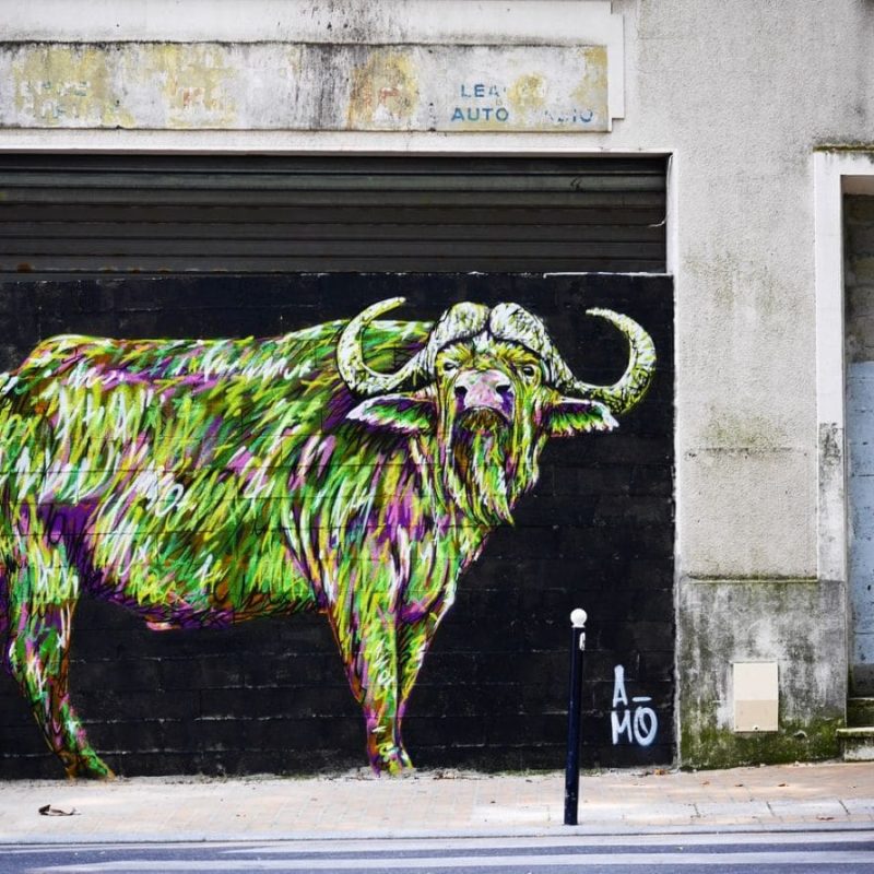 Buffle Peint Par A-mo Streetart Sur Un Mur De Bordeaux