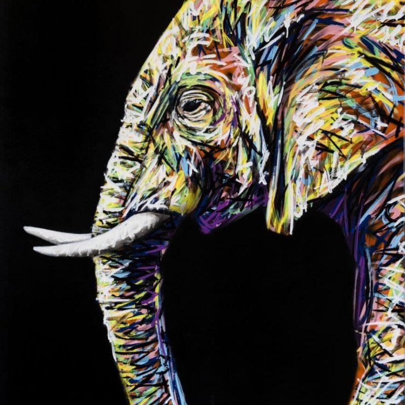 Tableau Représentant Un éléphant Peint Par L'artiste A-mo Streetart