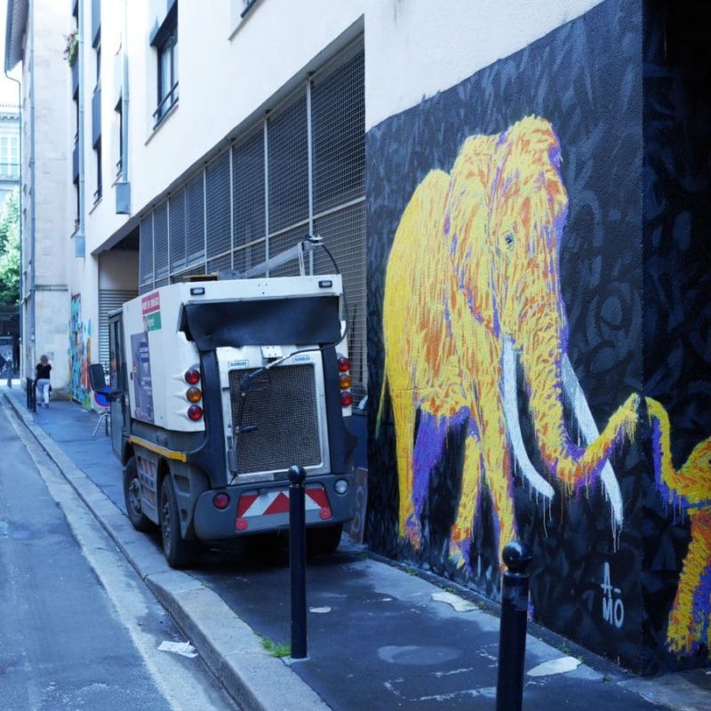 éléphants Peints à Bordeaux Dans La Rue Par A-mo Streetart