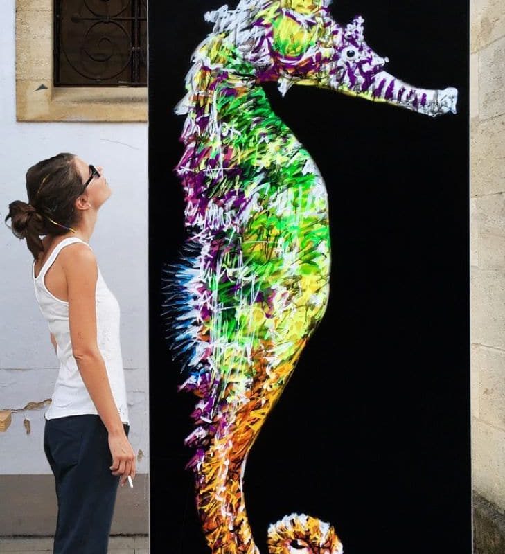 Tableau Représentant Un Hippocampe Peint Par L'artiste A-mo Streetart