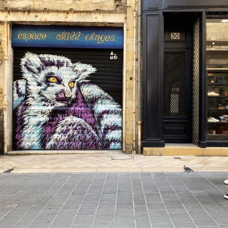Lémurien Peint Sur Store Par A-mo Streetart à Bordeaux