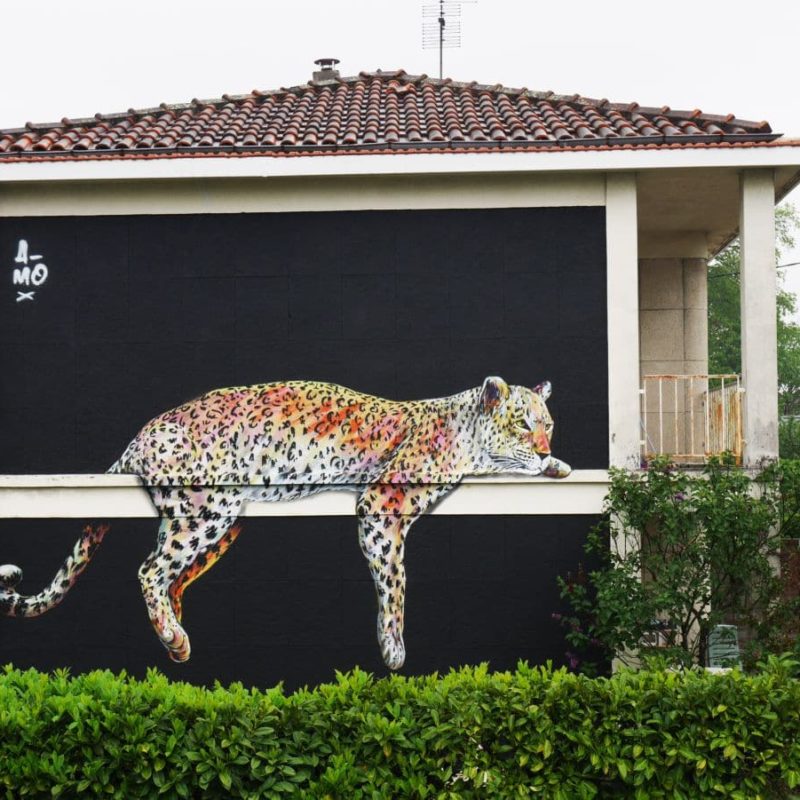 Leopard Peint Par A-mo Streetart Sur Une Maison à Talence