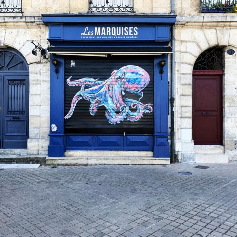 Poulpe Peint Par A-mo Streetart Sur Un Store à Bordeaux