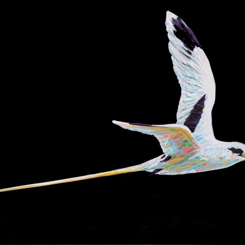 Tableau Représentant Un Oiseau Paille En Queue Peint Par L'artiste A-mo Streetart