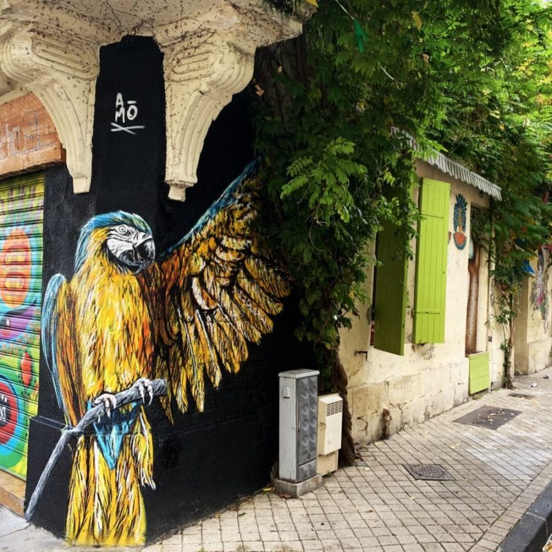 Perroquet Peint Sur Le Mur Du Central Do Brasil à Bordeaux Par A-mo Streetart