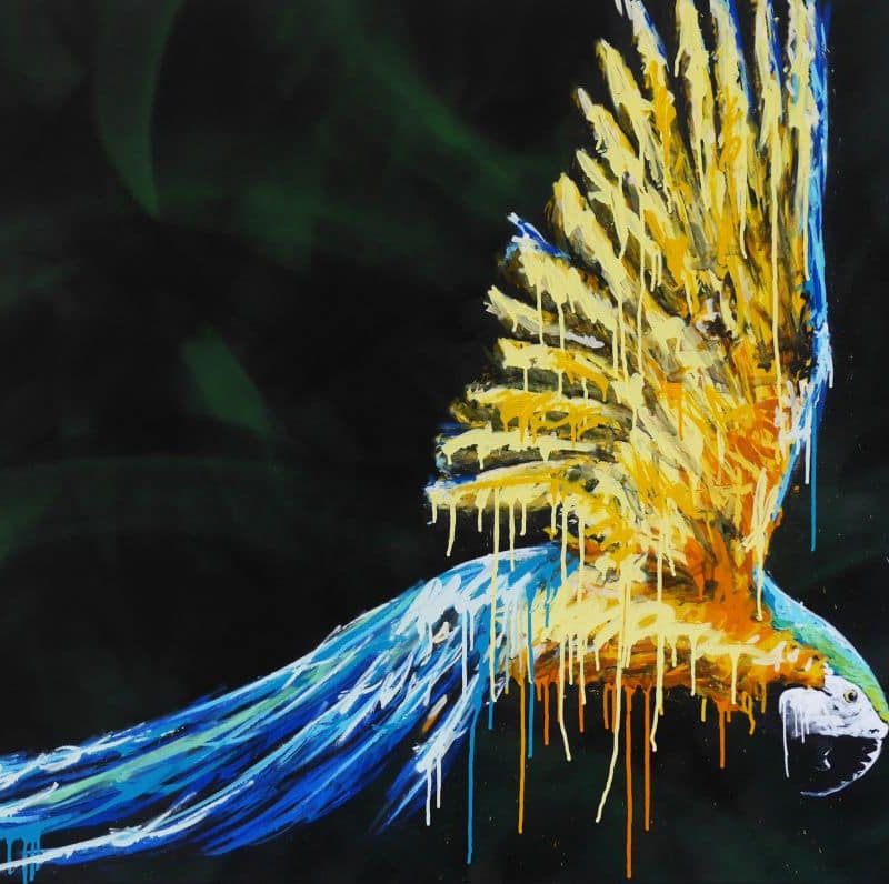 Tableau Représentant Un Oiseau Perroquet Peint Par L'artiste A-mo Streetart