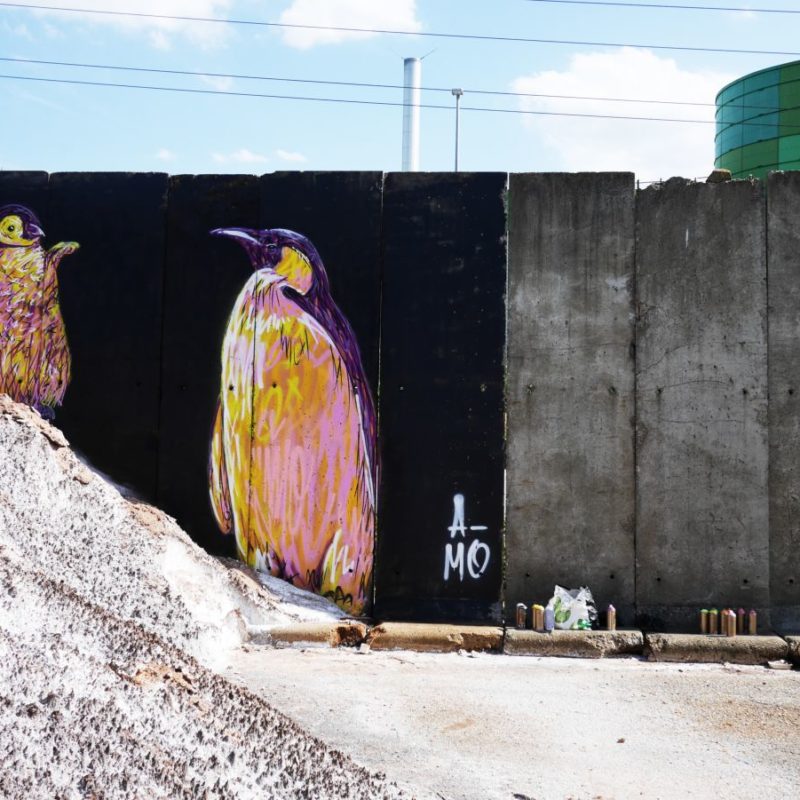 Pingouins Peints Par A-mo Streetart Sur Un Mur