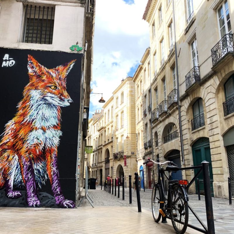 Renard Assis Peint Dans La Rue Par A-mo Streetart Dans Les Rues De Bordeaux