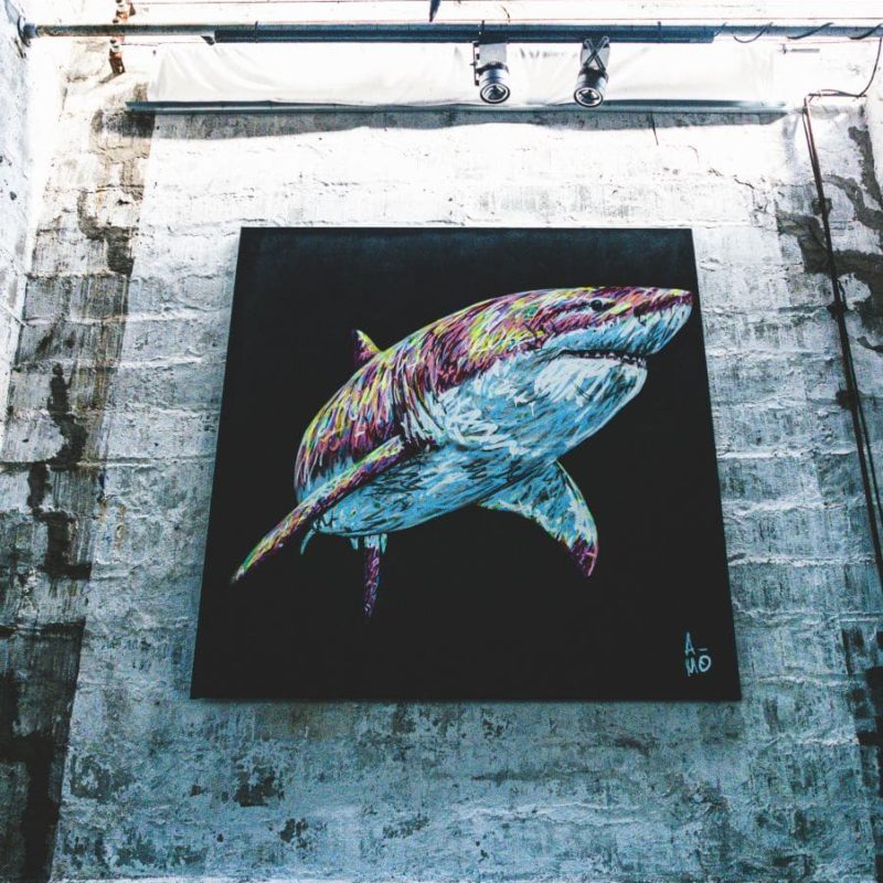 Tableau Représentant Un Requin Peint Par L'artiste A-mo Streetart