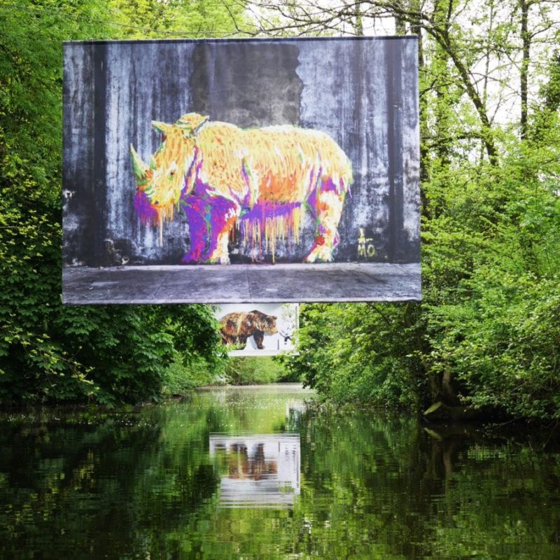 Peinture D'un Rhinocéros Par A-mo Streetart Au Dessus D'une Rivière