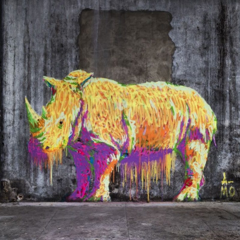 Rhinocéros Peint Par A-mo Streetart Sur Un Mur