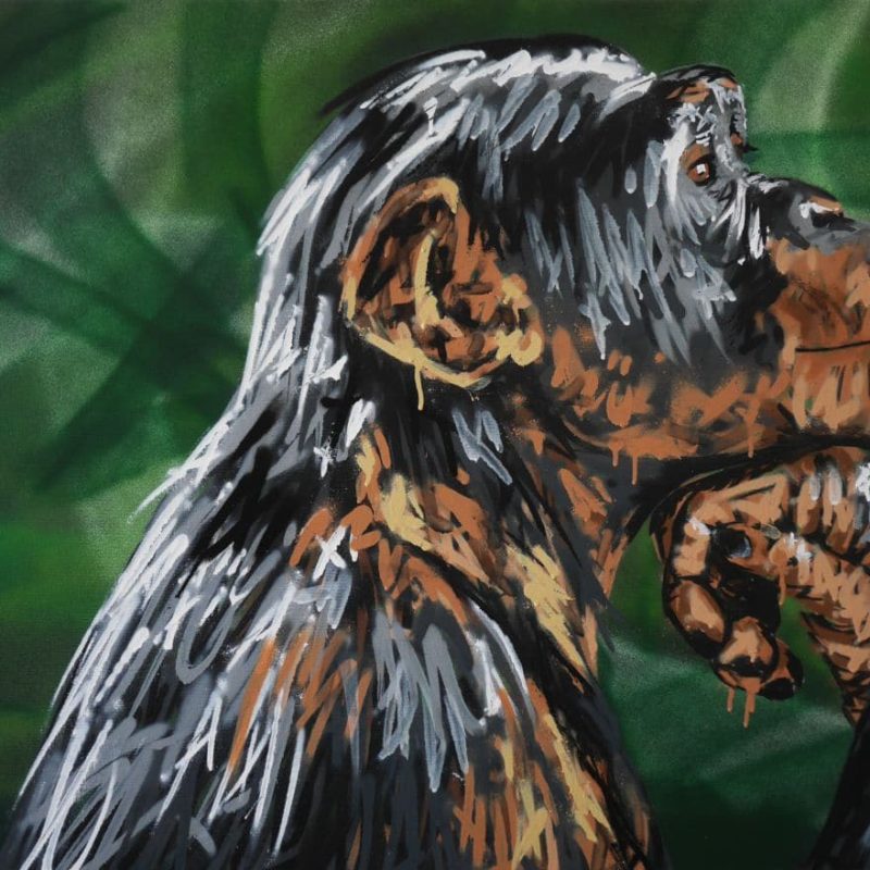 Tableau Représentant Un Singe Chimpanzé Peint Par L'artiste A-mo Streetart