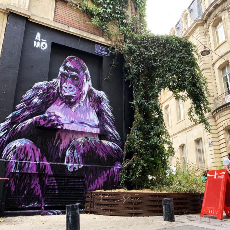 Gorille Peint Sur Un Mur Par A-mo Streetart