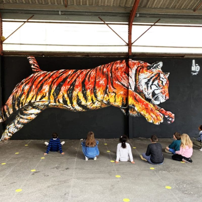 Tigre Peint Par A-mo Streetart Sur Un Mur Noir Dans Une école