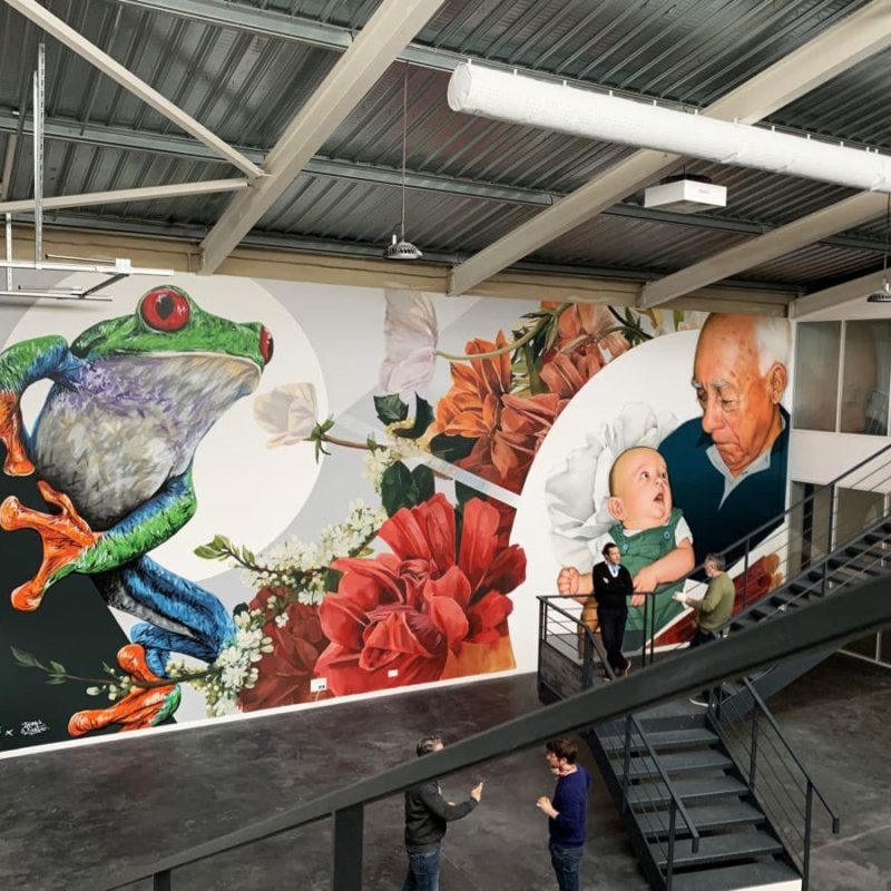 Peinture Murale Réalisée Par A-MO Street Art Dans L'entreprise Treefrog