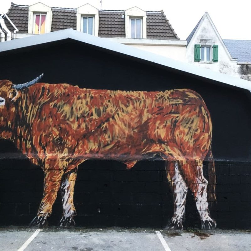Taureau Peint Sur Un Mur Noir à Bayonne Par A-mo Streetart