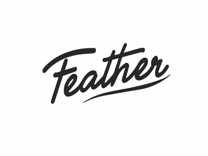 Logo Du Magazine Feather.