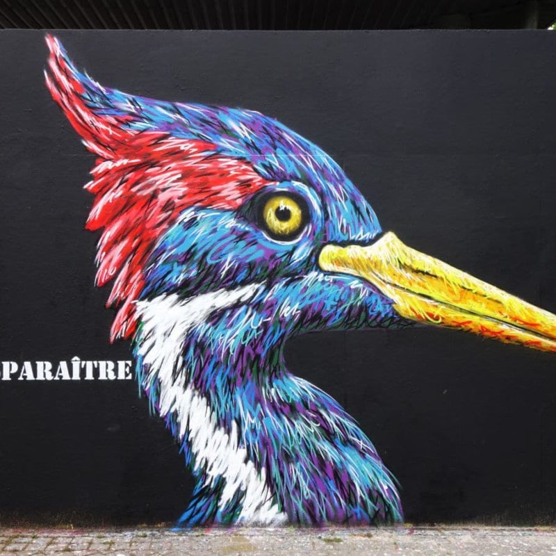 Peinture Murale Peinte Par A-Mo Street Art Représentant Trois Oiseaux.