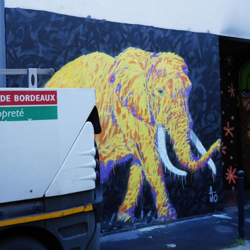 Elephant Peint Par L'artiste A-MO Street Art.