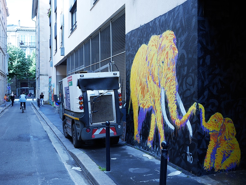 Elephant peint par l'artiste A-MO street art.