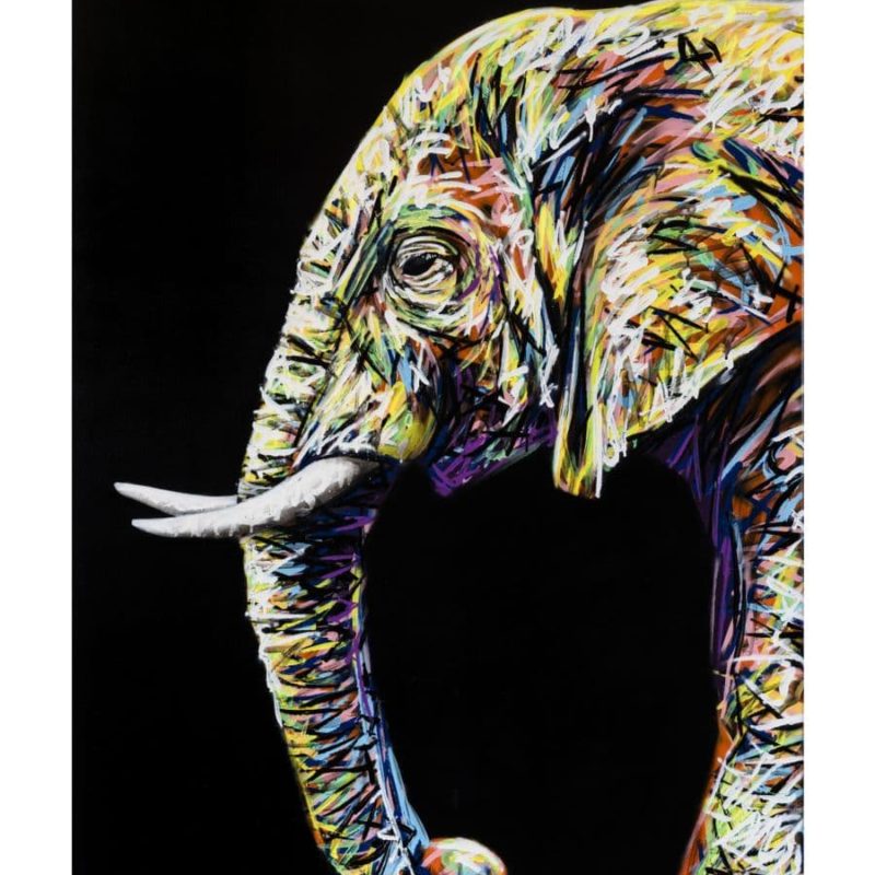 Reproduction D'une Toile Représentant Un éléphant Peint Par L'artiste A-MO Street Art.