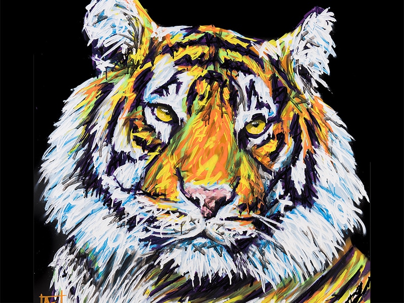 Reproduction d'une toile représentant un tigre peint par l'artiste A-MO street art.