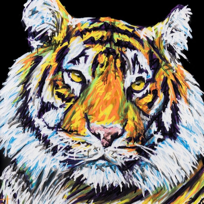 Reproduction D'une Toile Représentant Un Tigre Peint Par L'artiste A-MO Street Art.