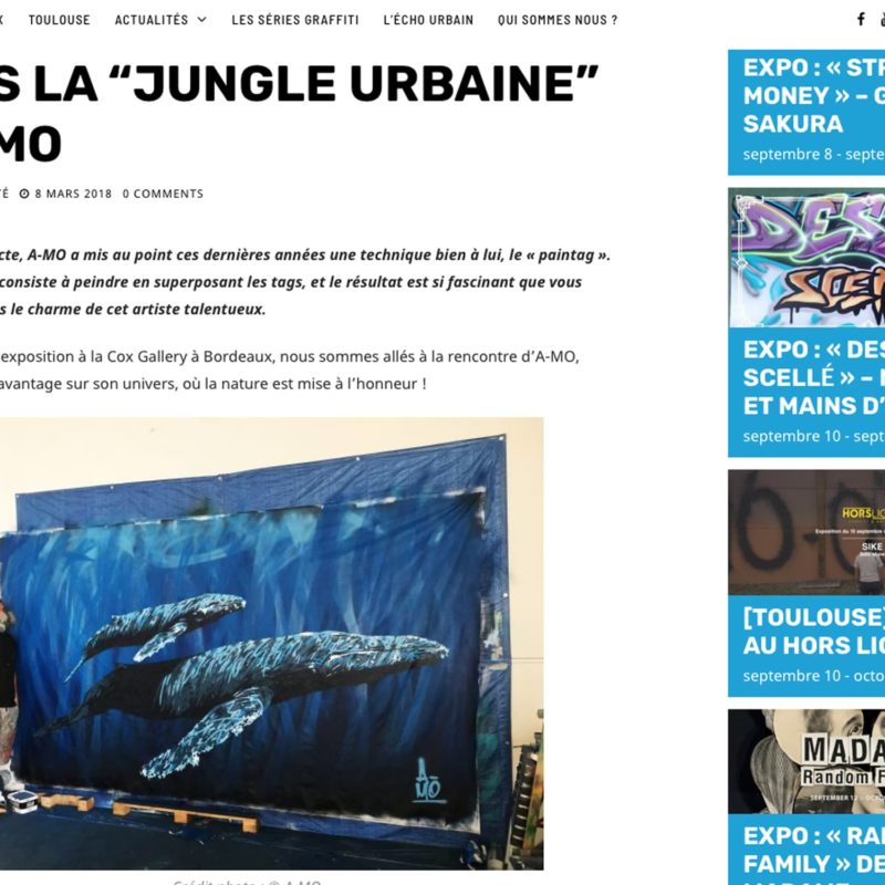 Interview De L'artiste A-MO Pour Urban Art Paris.