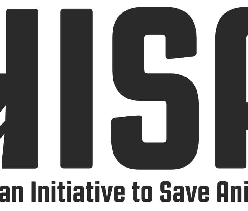 Logo De L'association HISA.