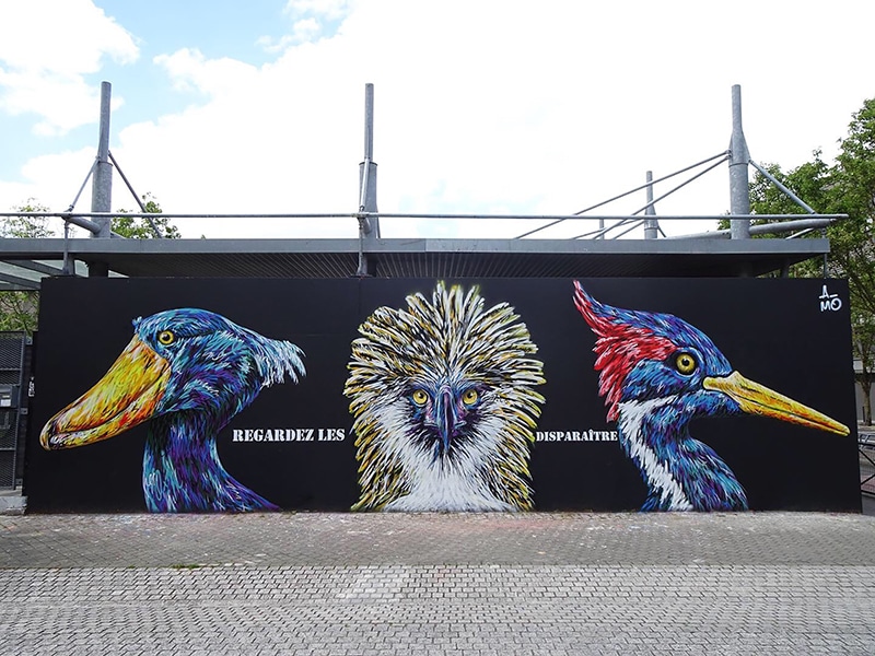 Peinture murale peinte par A-Mo street art représentant trois oiseaux.
