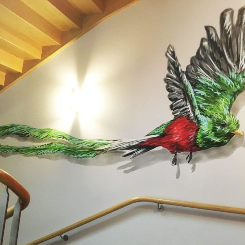 Peinture D'un Oiseau Sur Support Mural Par L'artiste A-MO.