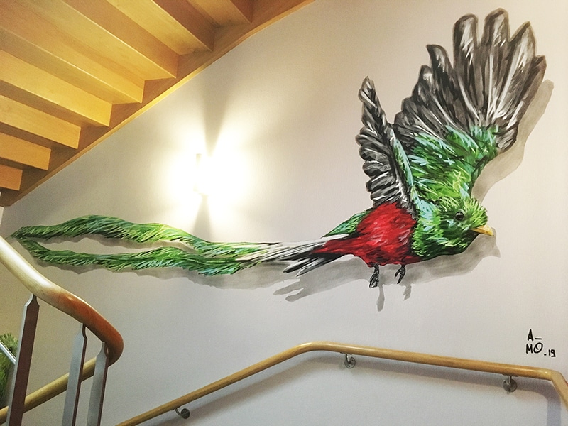 Peinture d'un oiseau sur support mural par l'artiste A-MO.
