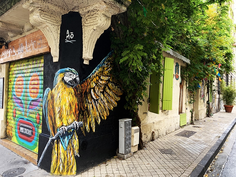 Perroquet peinture un mur par l'artiste A-MO street art.