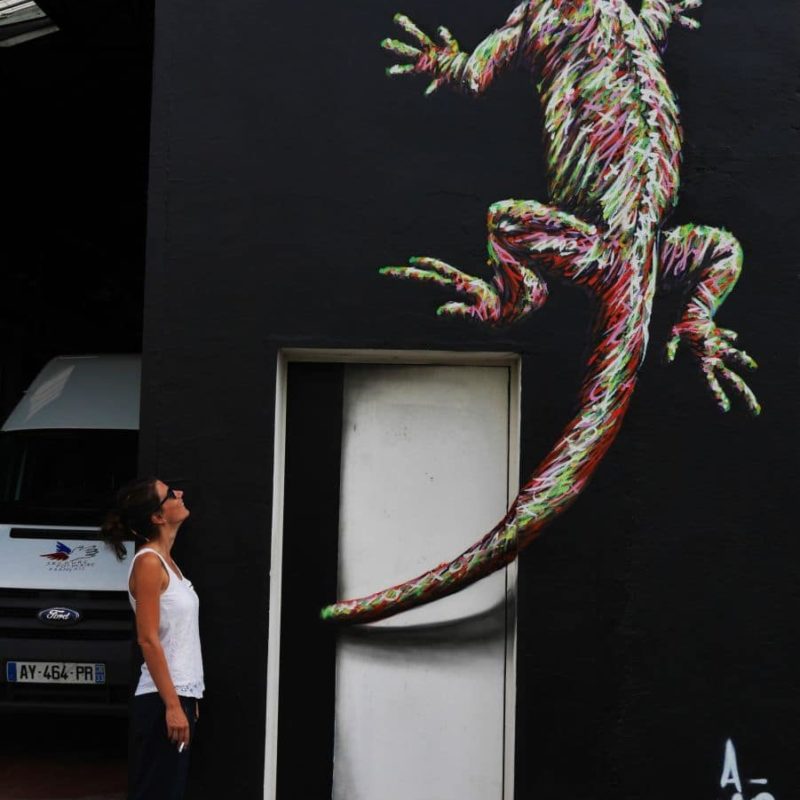 Iguane Peint Par L'artiste A-MO Street Art Pour Le Secours Populaire Gironde.