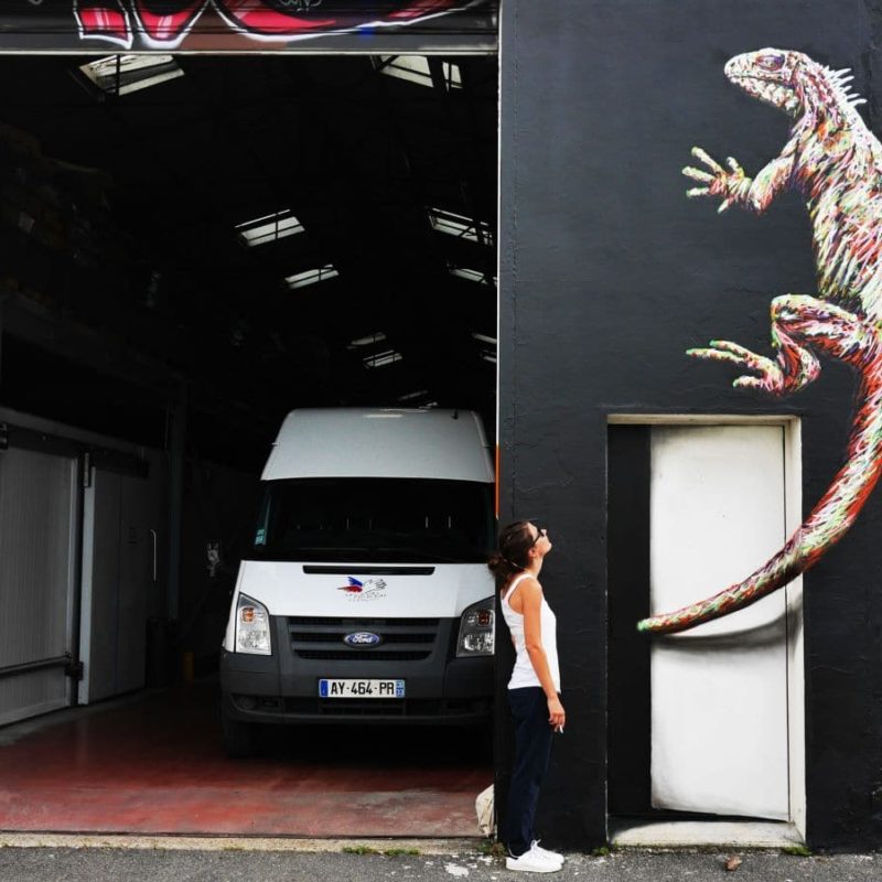 Iguane Peint Par L'artiste A-MO Street Art Pour Le Secours Populaire Gironde.