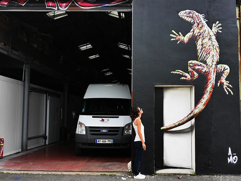 Iguane peint par l'artiste A-MO street art pour le secours populaire Gironde.