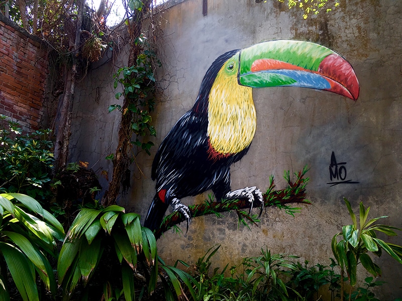 Toucan peint sur un mur par l'artiste A-MO street art.