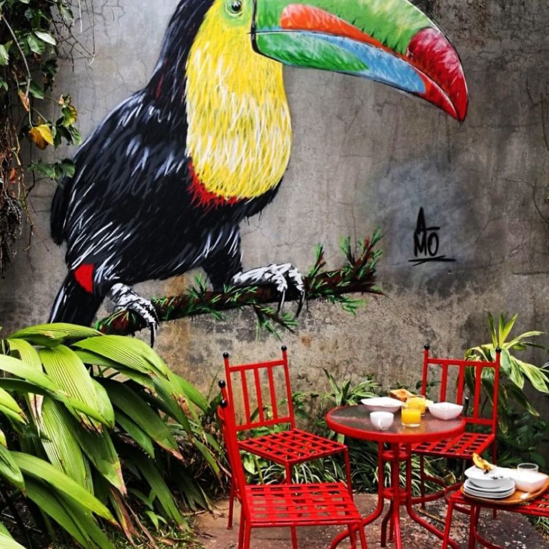 Toucan Peint Sur Un Mur Par L'artiste A-MO Street Art.