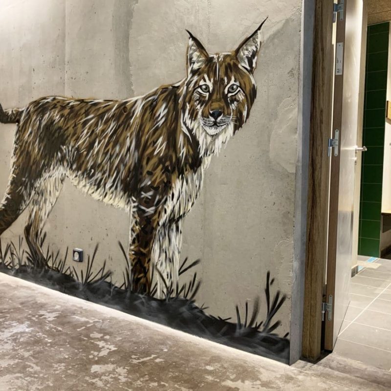 Peinture Représentant Un Lynx Réalisée Par L'artiste A-MO Streetart.