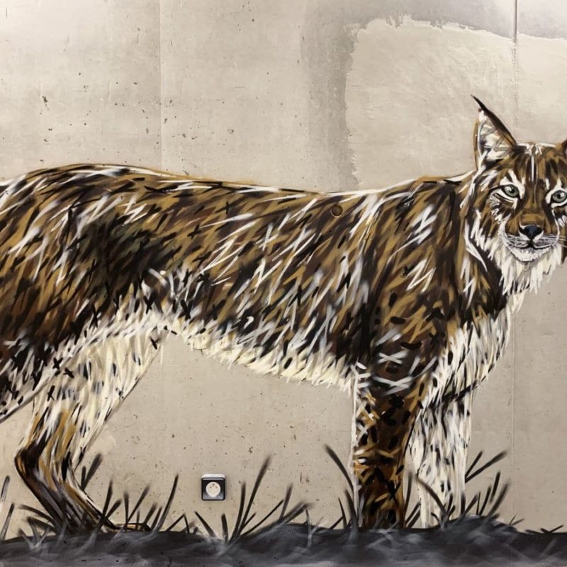 Peinture Représentant Un Lynx Réalisée Par L'artiste A-MO Streetart.
