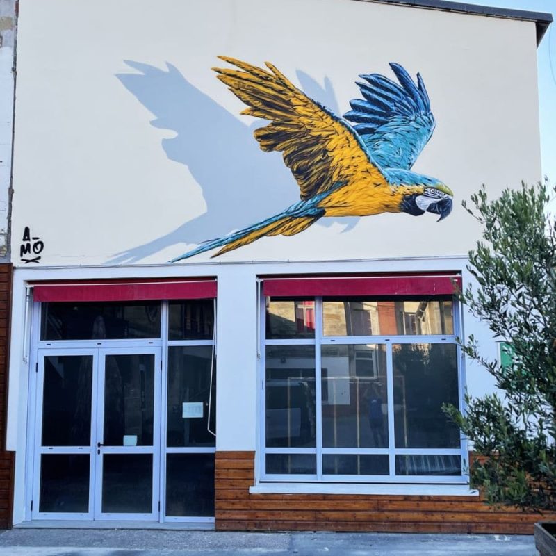 Oiseau Peint Sur Mur Par L'artiste A-MO Street Art.