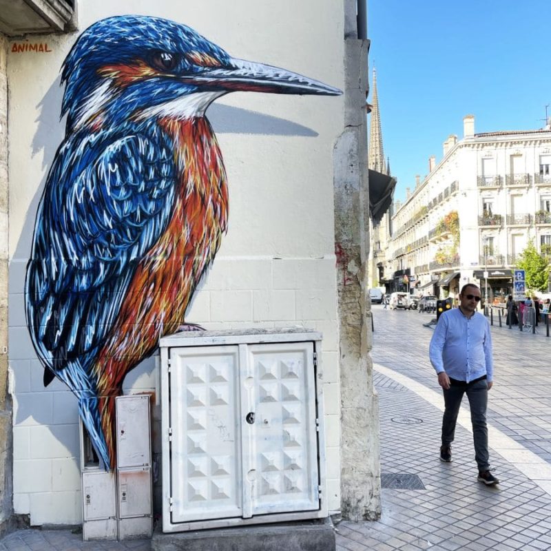 Martin Pêcheur Peint Sur Un Mur Par L'artiste A-MO Street Art.