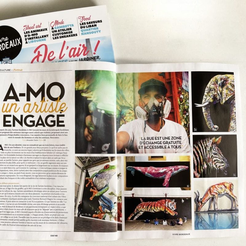 Article De Presse Sur L'artiste A-MO Street Art Dans Le Magazine Vivre Bordeaux.